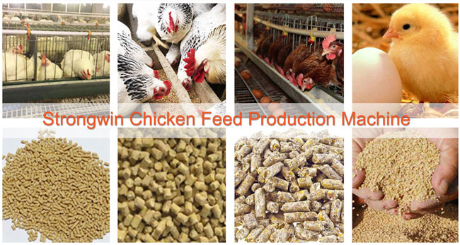 chaîne de production d'alimentation des animaux