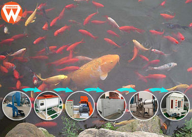 Engrenez la machine de développement d'alimentation de poissons de ceinture, processus de fabrication de la nourriture pour poissons 65KW